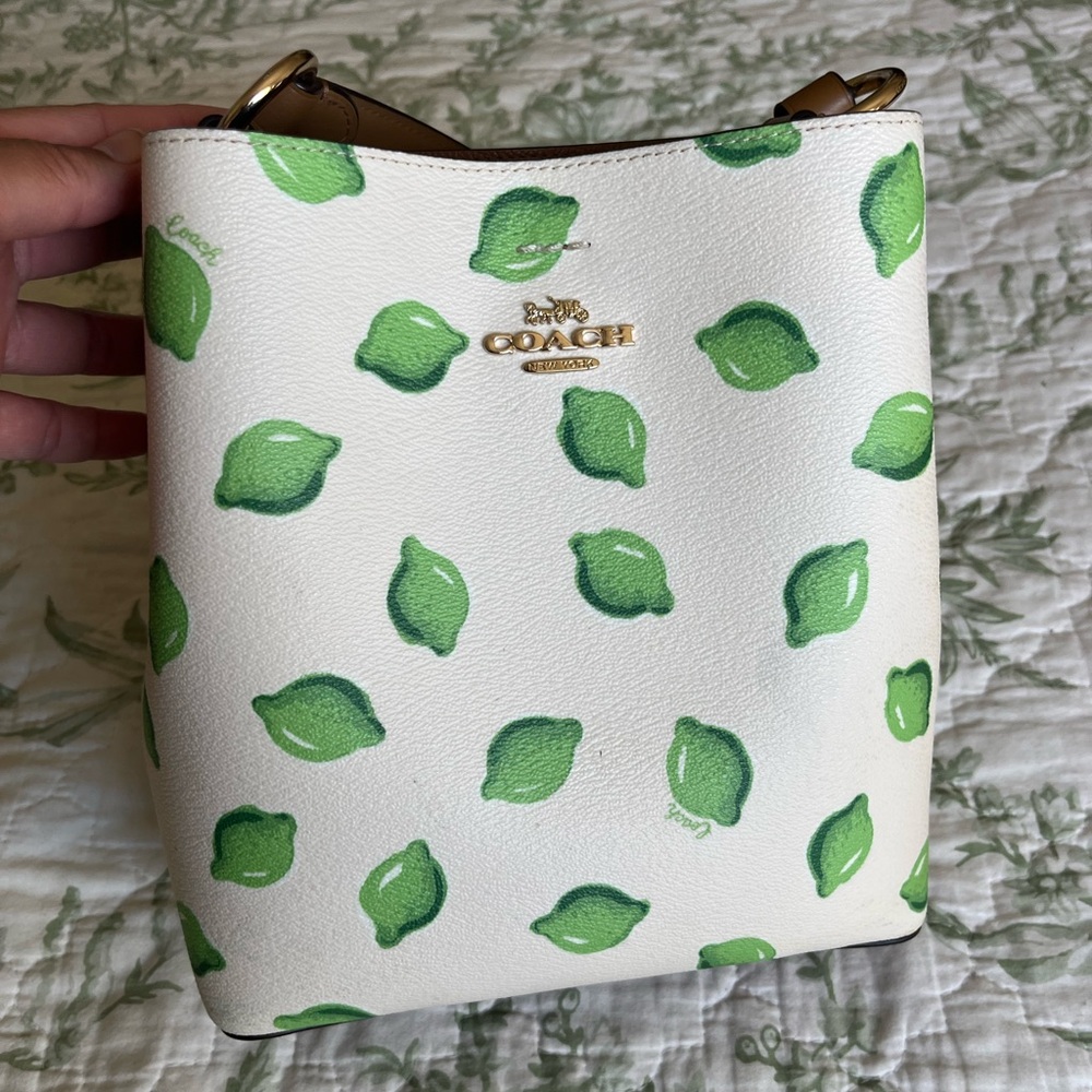 Coach Small Town Bucket Bag in Lime print